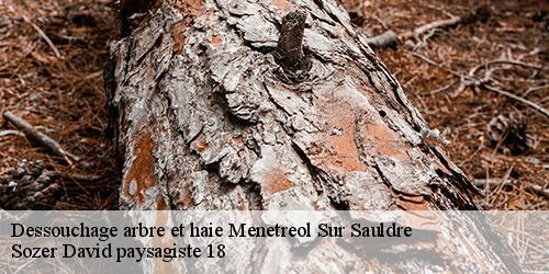 dessouchage-arbre-et-haie-4