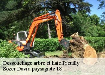 Dessouchage arbre et haie  preuilly-18120 Sozer David paysagiste 18