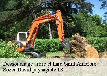 Dessouchage arbre et haie  saint-ambroix-18290 Sozer David paysagiste 18