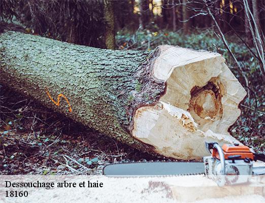 dessouchage-arbre-et-haie-2