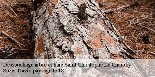 dessouchage-arbre-et-haie-4
