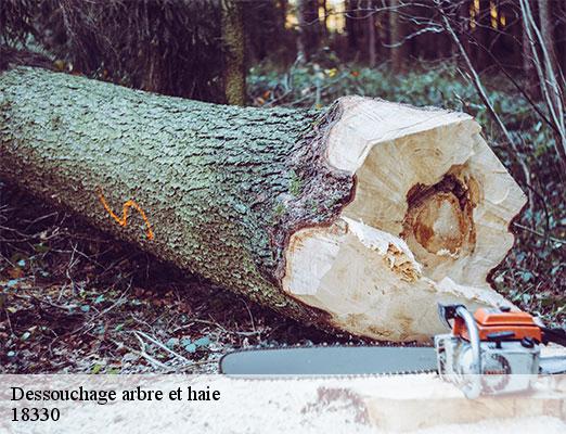 dessouchage-arbre-et-haie-2