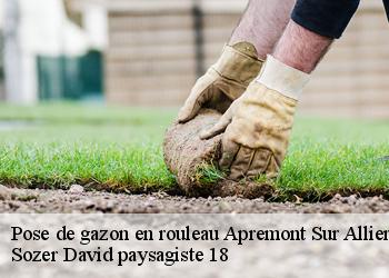 Pose de gazon en rouleau  apremont-sur-allier-18150 Sozer David paysagiste 18