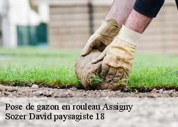 Pose de gazon en rouleau  assigny-18260 Sozer David paysagiste 18