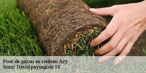 pose-de-gazon-en-rouleau-4