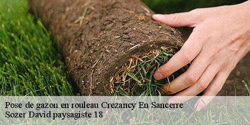pose-de-gazon-en-rouleau-4