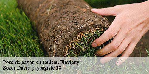 pose-de-gazon-en-rouleau-4
