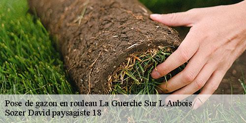 pose-de-gazon-en-rouleau-4