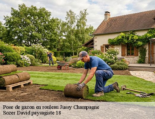 pose-de-gazon-en-rouleau-1