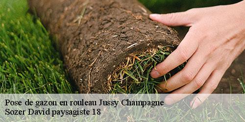 pose-de-gazon-en-rouleau-4