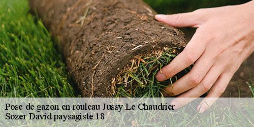 pose-de-gazon-en-rouleau-4