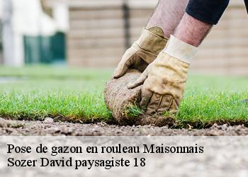 Pose de gazon en rouleau  maisonnais-18170 Sozer David paysagiste 18