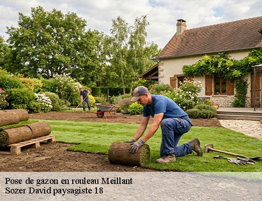 pose-de-gazon-en-rouleau-1