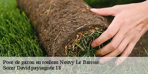 pose-de-gazon-en-rouleau-4