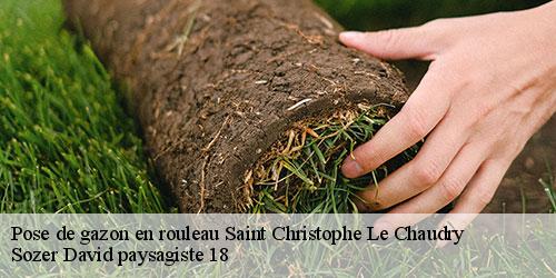 pose-de-gazon-en-rouleau-4