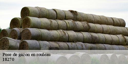pose-de-gazon-en-rouleau-5