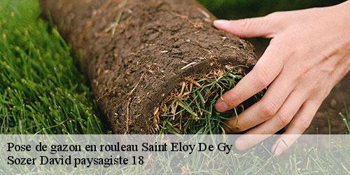 pose-de-gazon-en-rouleau-4