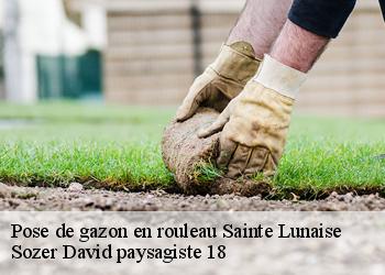 Pose de gazon en rouleau  sainte-lunaise-18340 Sozer David paysagiste 18