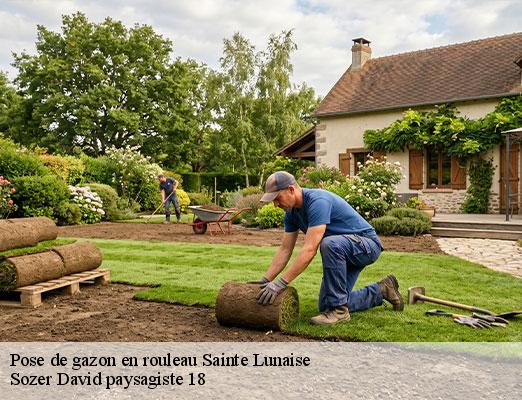 pose-de-gazon-en-rouleau-1