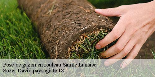 pose-de-gazon-en-rouleau-4