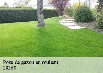 Pose de gazon en rouleau 18260