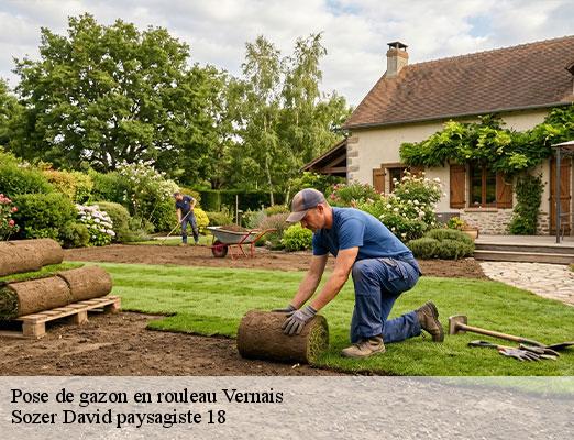 pose-de-gazon-en-rouleau-1
