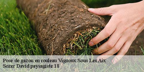 pose-de-gazon-en-rouleau-4