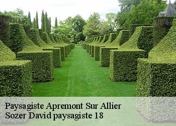 Paysagiste  apremont-sur-allier-18150 Sozer David paysagiste 18