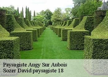 Paysagiste  augy-sur-aubois-18600 Sozer David paysagiste 18