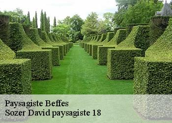 Paysagiste  beffes-18320 Sozer David paysagiste 18