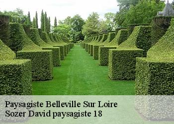 Paysagiste  belleville-sur-loire-18240 Sozer David paysagiste 18