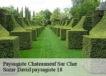 Paysagiste  chateauneuf-sur-cher-18190 Sozer David paysagiste 18