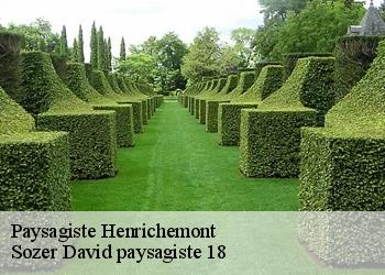 Paysagiste  henrichemont-18250 Sozer David paysagiste 18