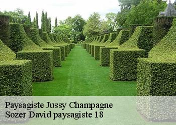 Paysagiste  jussy-champagne-18130 Sozer David paysagiste 18