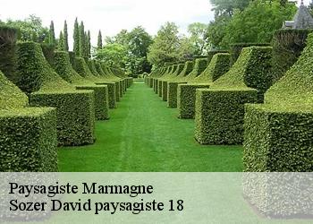 Paysagiste  marmagne-18500 Sozer David paysagiste 18