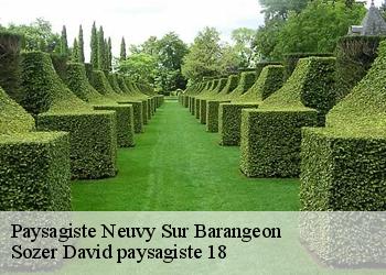 Paysagiste  neuvy-sur-barangeon-18330 Sozer David paysagiste 18