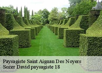 Paysagiste  saint-aignan-des-noyers-18600 Sozer David paysagiste 18