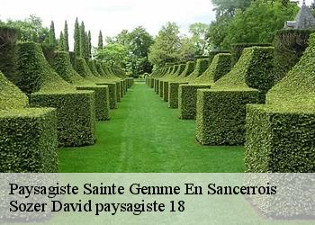 Paysagiste  sainte-gemme-en-sancerrois-18240 Sozer David paysagiste 18