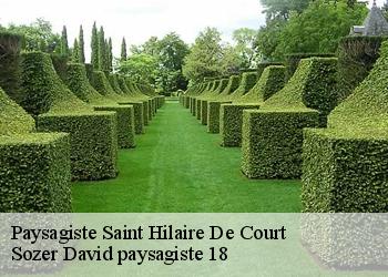 Paysagiste  saint-hilaire-de-court-18100 Sozer David paysagiste 18