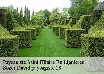 Paysagiste  saint-hilaire-en-lignieres-18160 Sozer David paysagiste 18