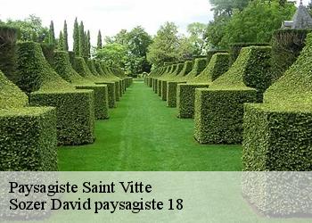 Paysagiste  saint-vitte-18360 Sozer David paysagiste 18