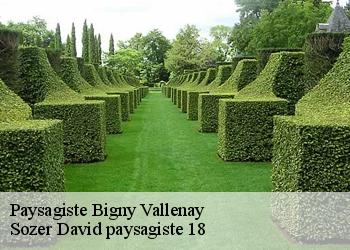 Paysagiste  bigny-vallenay-18190 Sozer David paysagiste 18