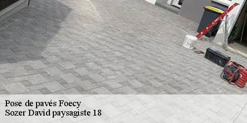 pose-de-paves-4