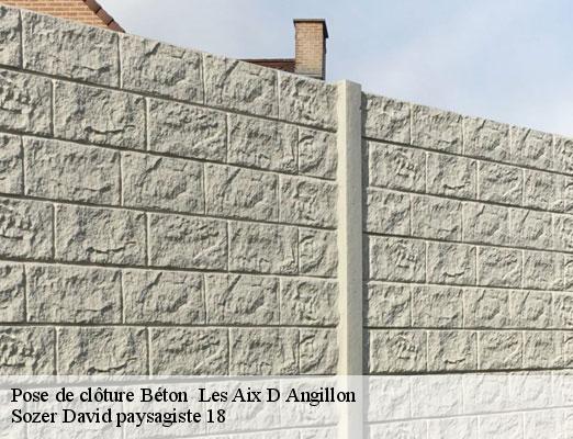 pose-de-cloture-beton-1